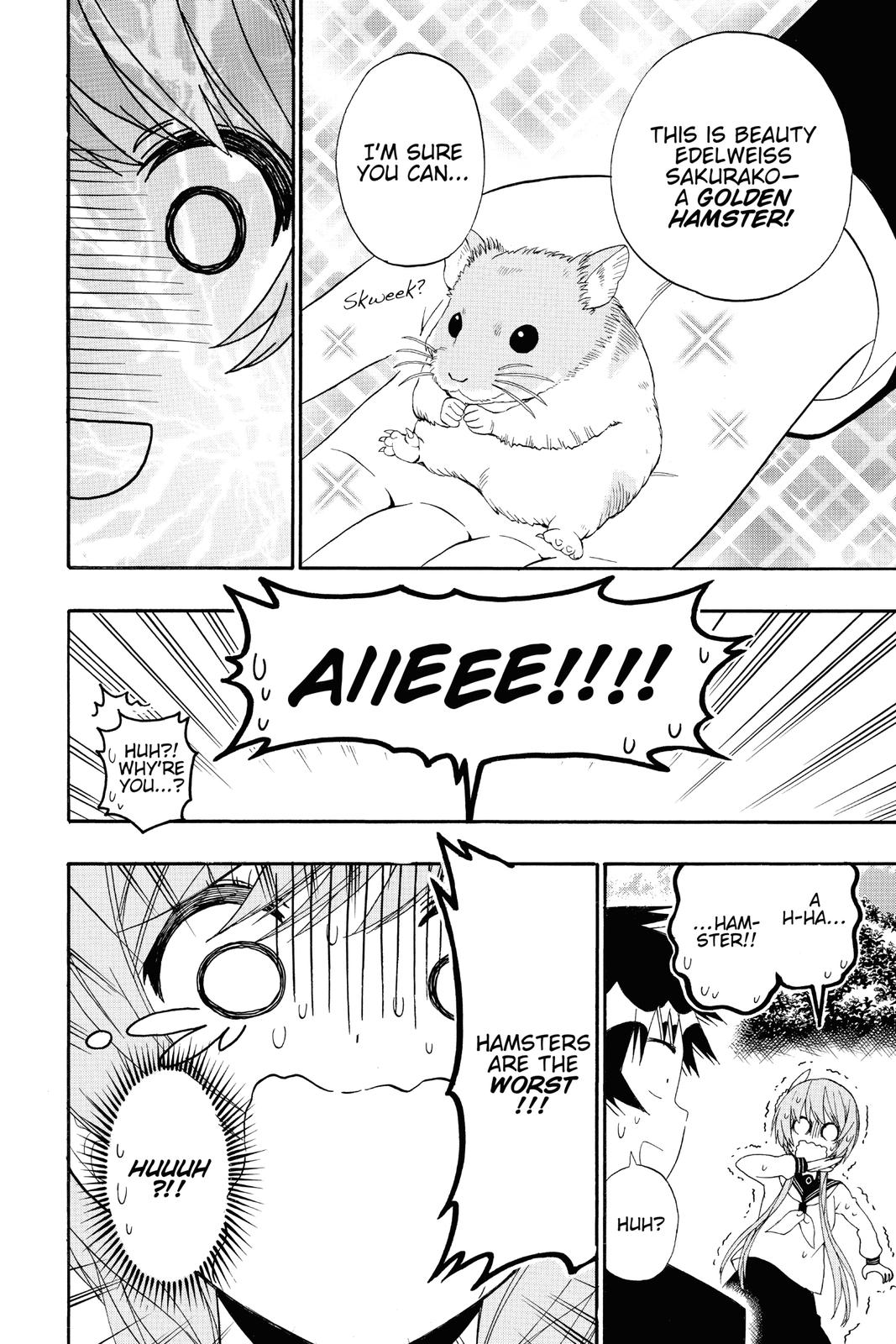 Nisekoi Chapter 142 Page 14