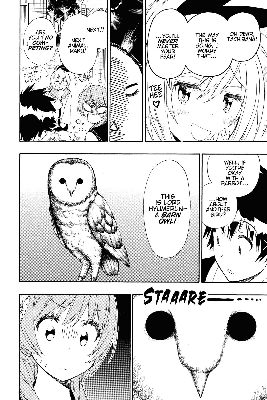 Nisekoi Chapter 142 Page 8