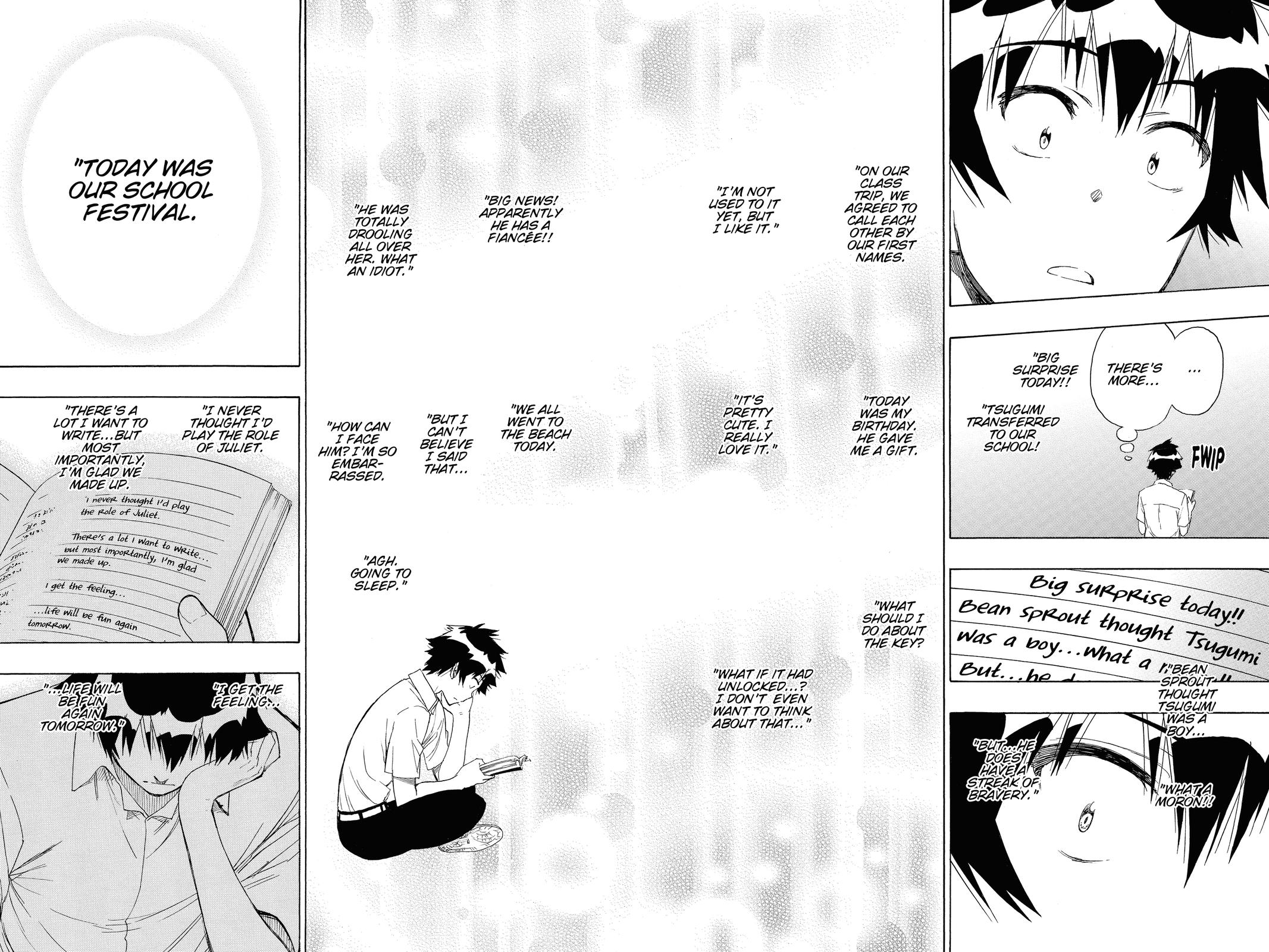Nisekoi Chapter 213 Page 14