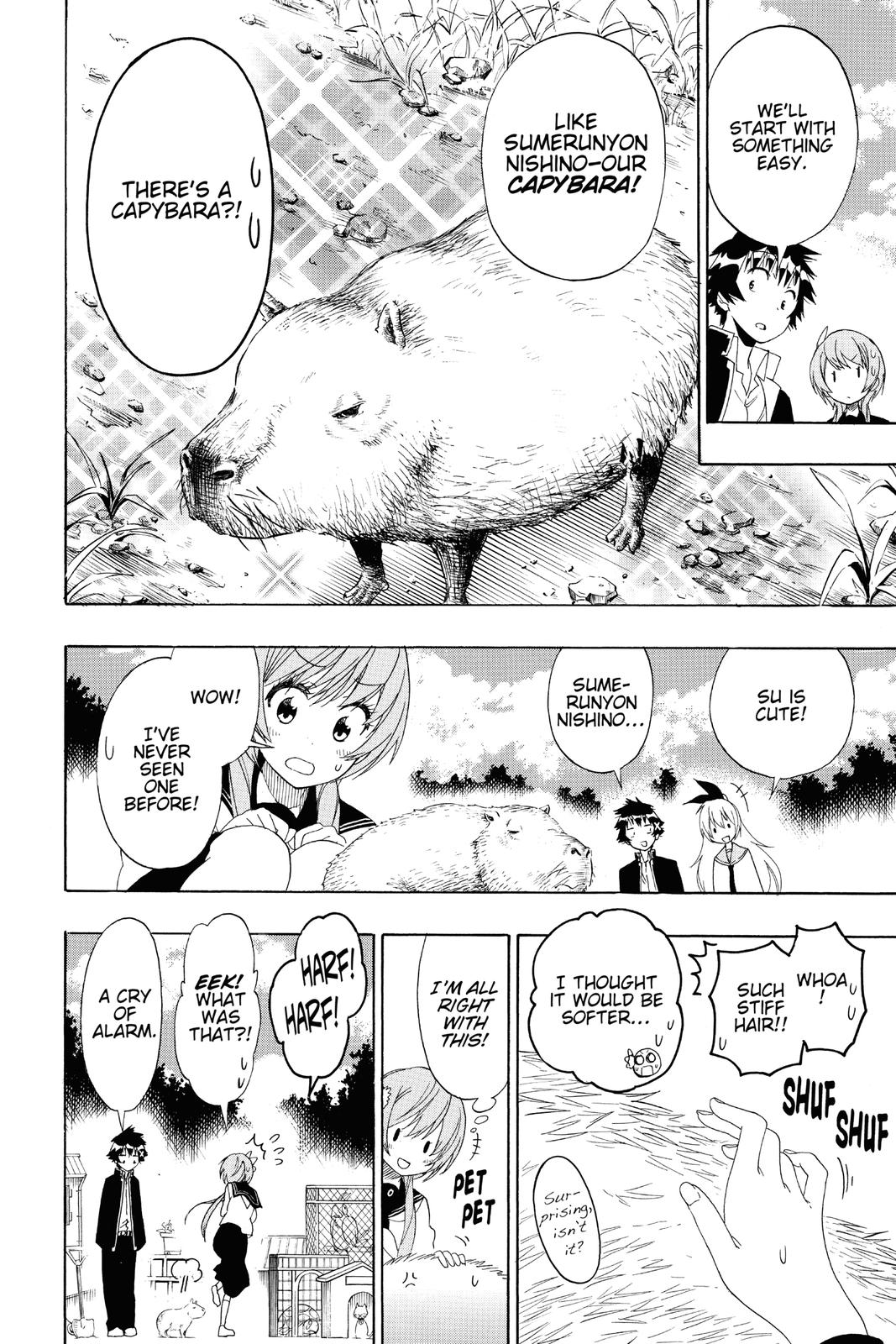Nisekoi Chapter 142 Page 6